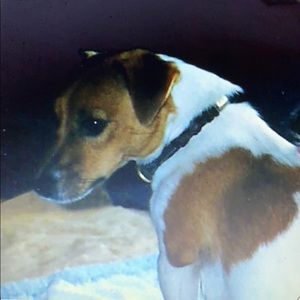 Meet your Posher, Sallyellen